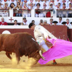Dax (Francia). Martes, 14 de agosto de 2018. Toros de distintas ganaderías para Juan Bautista