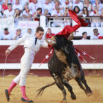 Dax (Francia). Martes, 14 de agosto de 2018. Toros de distintas ganaderías para Juan Bautista
