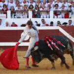 Dax (Francia). Martes, 14 de agosto de 2018. Toros de distintas ganaderías para Juan Bautista