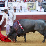 Dax (Francia). Martes, 14 de agosto de 2018. Toros de distintas ganaderías para Juan Bautista