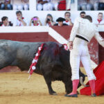 Dax (Francia). Martes, 14 de agosto de 2018. Toros de distintas ganaderías para Juan Bautista