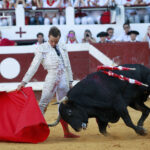 Dax (Francia). Martes, 14 de agosto de 2018. Toros de distintas ganaderías para Juan Bautista