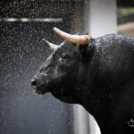 Sorteo, Bilbao 18 de agosto de 2018