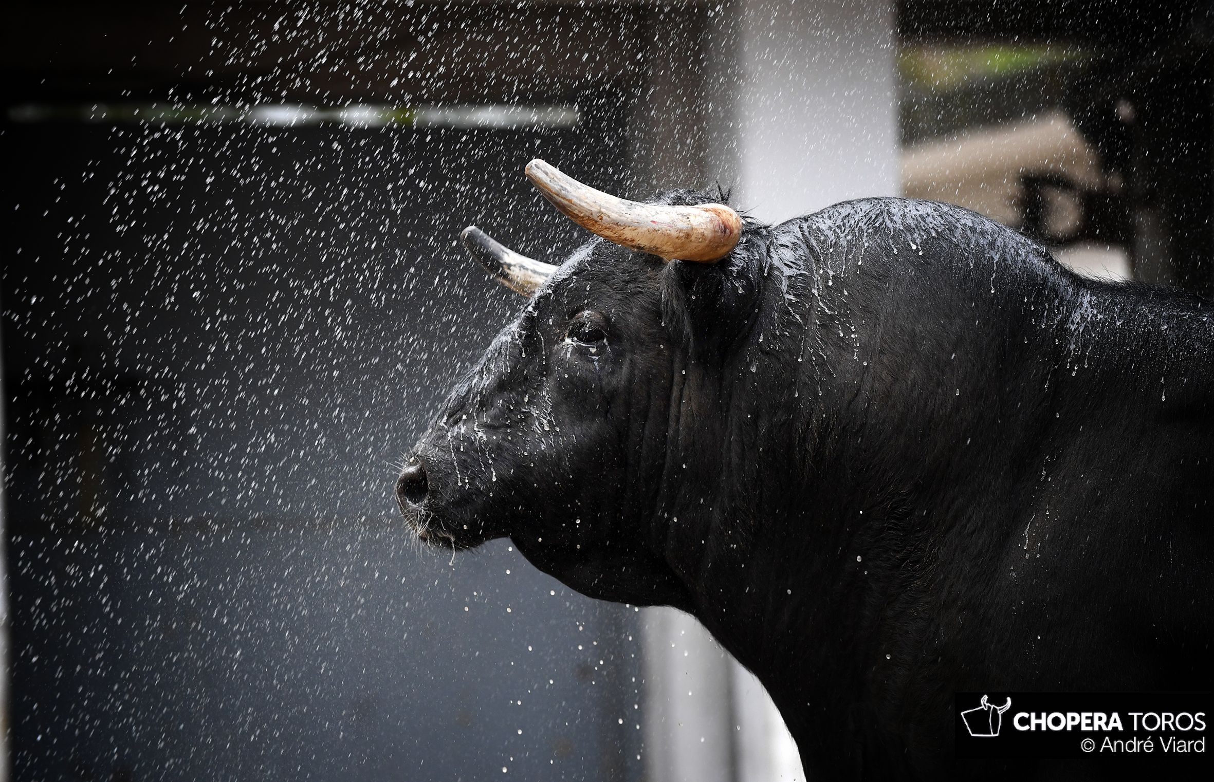 Sorteo, Bilbao 18 de agosto de 2018