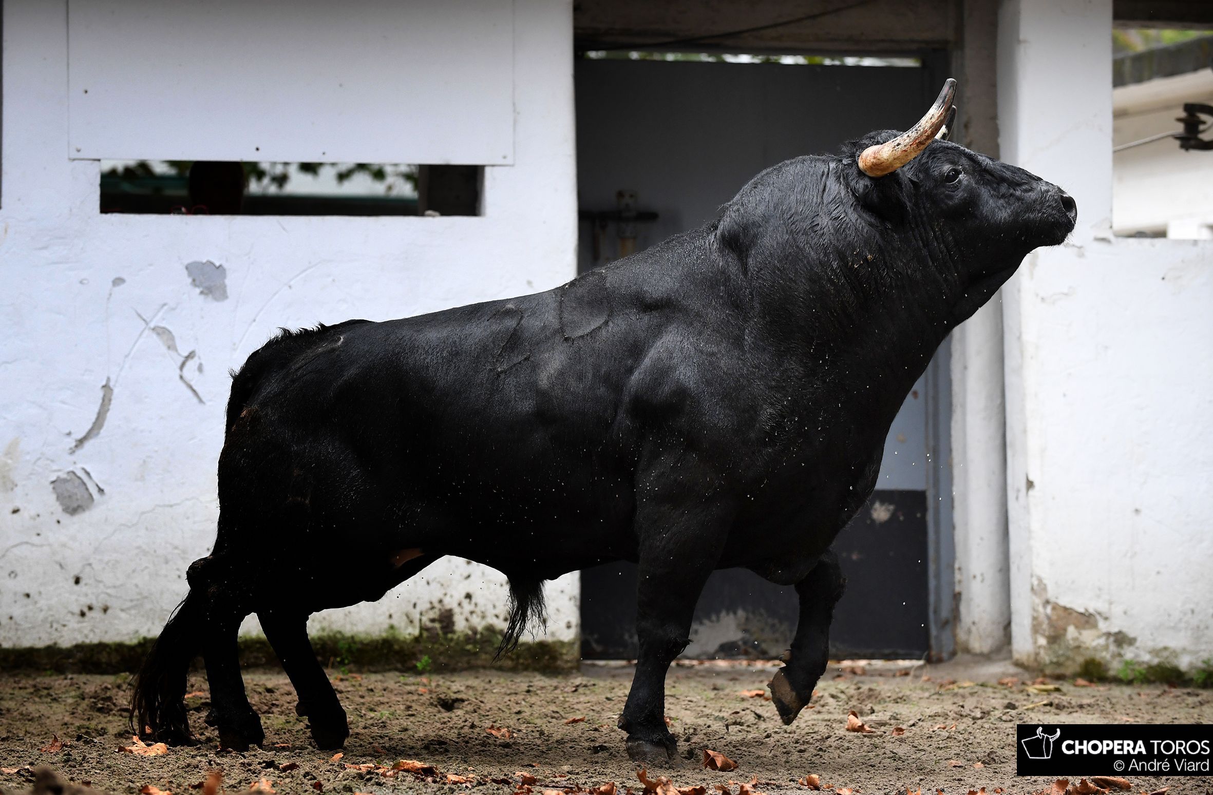 Sorteo, Bilbao 18 de agosto de 2018