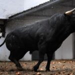 Sorteo, Bilbao 18 de agosto de 2018