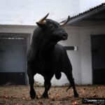 Sorteo, Bilbao 18 de agosto de 2018