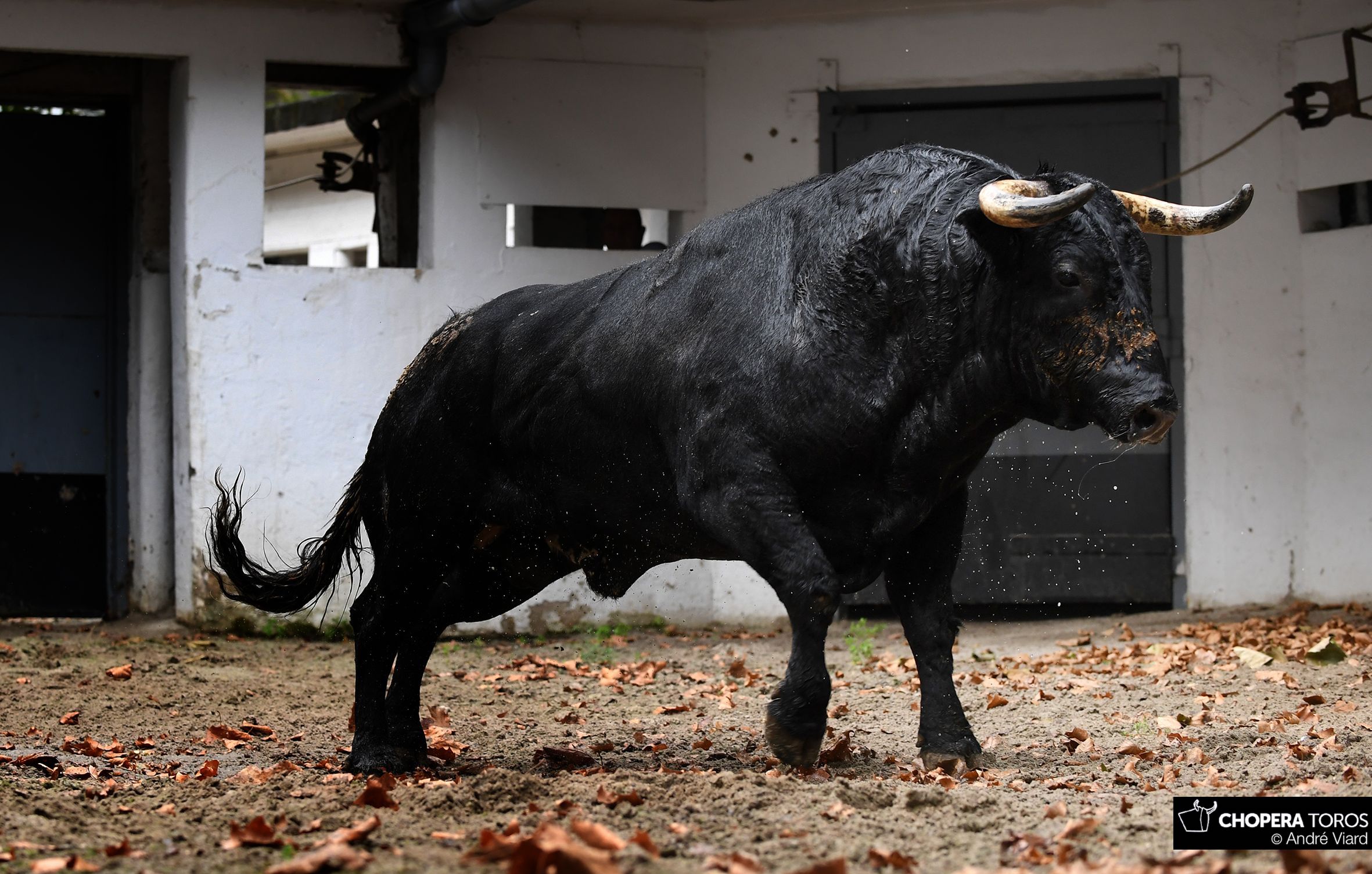 Sorteo, Bilbao 18 de agosto de 2018