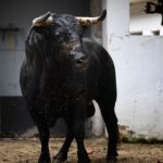 Sorteo, Bilbao 18 de agosto de 2018