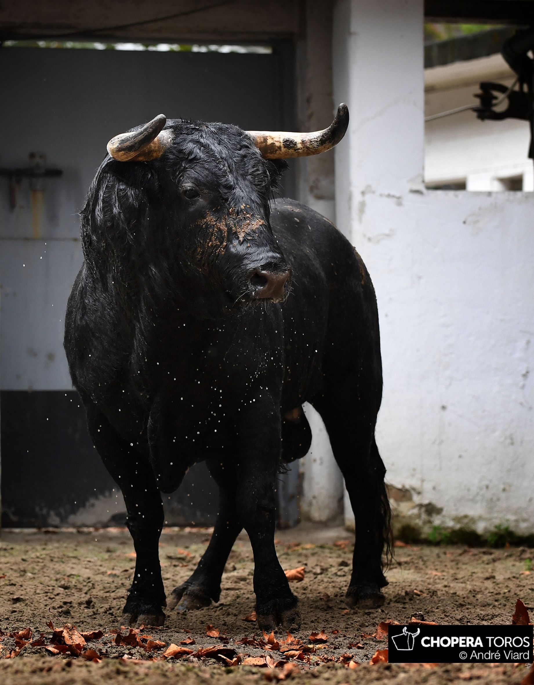 Sorteo, Bilbao 18 de agosto de 2018