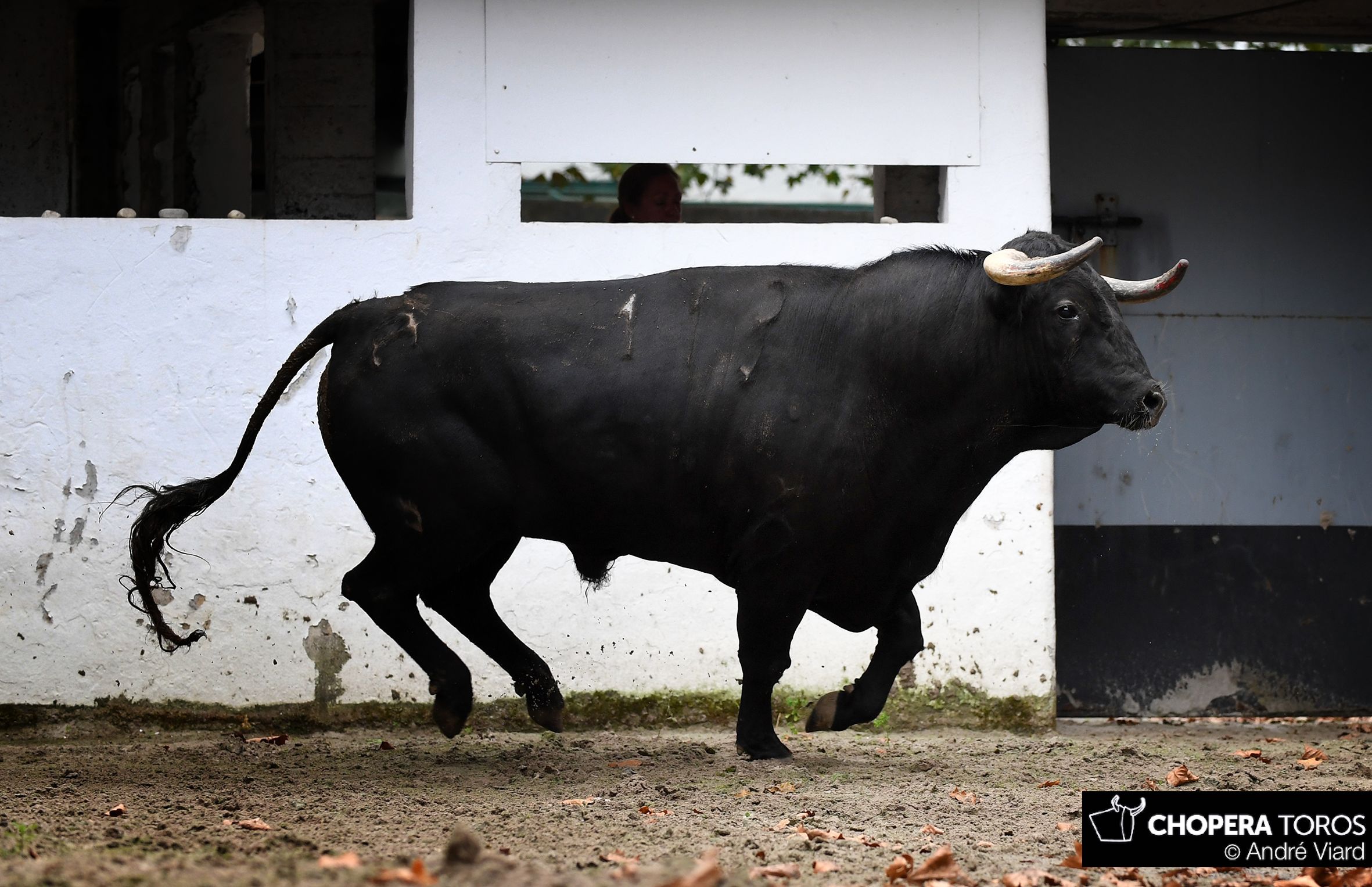 Sorteo, Bilbao 18 de agosto de 2018