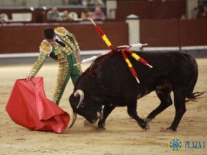 Madrid - Novillada nocturna - Viernes 3 de agosto de 2018