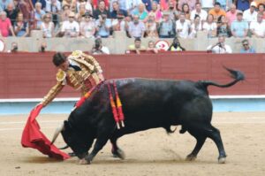 Pontevedra - Feria de la Peregrina - Sorteo - Domingo 5 de agosto de 2018