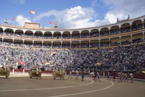 Madrid - Feria de San Isidro - Corrida de toros - Domingo 10 de junio de 2018
