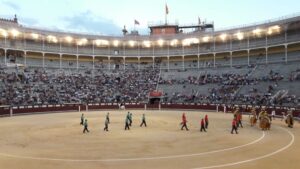 Madrid - Novillada nocturna - Viernes 20 de julio de 2018