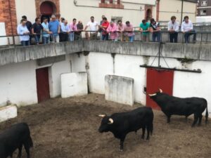 Gijón - Corrida de rejones - Sorteo - Sábado 11 de agosto de 2018