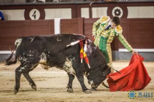Madrid - Novillada nocturna - Viernes 3 de agosto de 2018