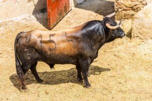 Sorteo, Cuenca 19 de agosto de 2018