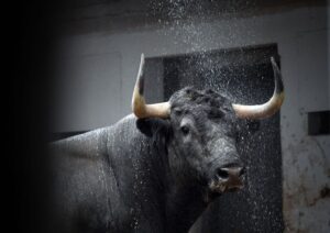 Sorteo, Bilbao 19 de agosto de 2018