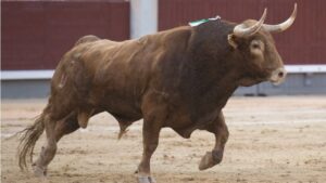 Madrid - Las Ventas - San Isidro - Viernes 11 de mayo de 2018