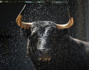 Bilbao. Sorteo 25 de agosto de 2018