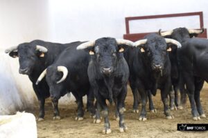 Sorteo. Almería, 25 de agosto de 2018