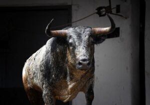 Sorteo, Bilbao 26 de agosto de 2018