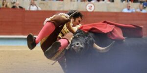 Pontevedra - Corrida de toros - Domingo 12 de agosto de 2018