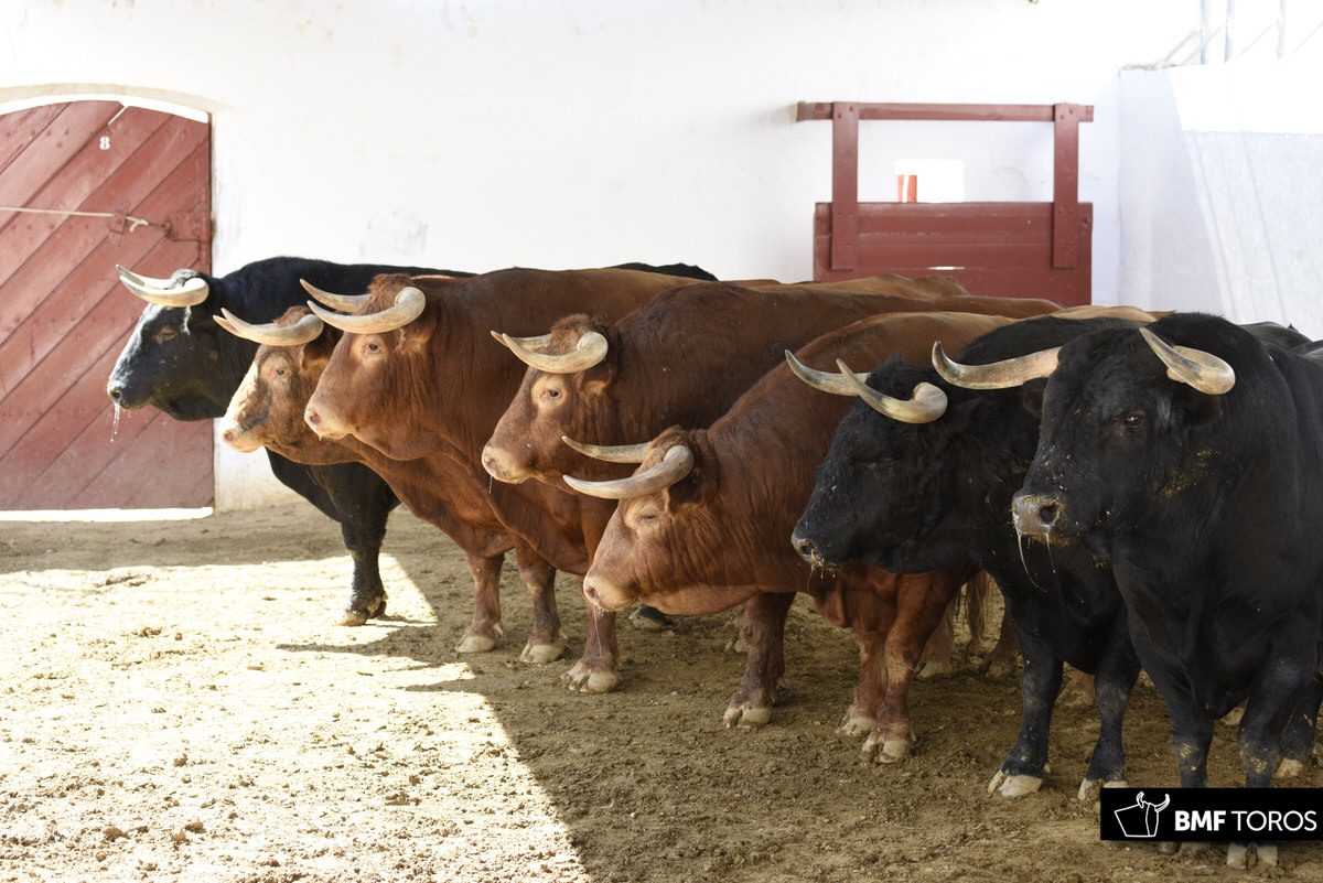 Trajeado, de El Torreón, inaugura la feria en Almería