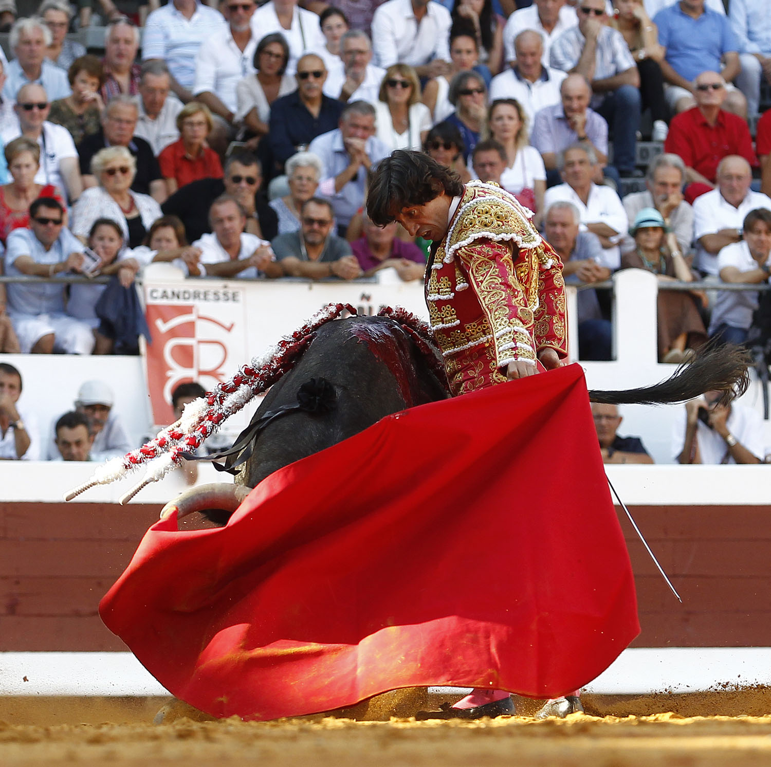 Dax - Corrida de toros - Sábado 8 de septiembre de 2018