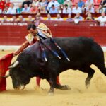Murcia - Corrida de toros - Domingo 9 de septiembre de 2018