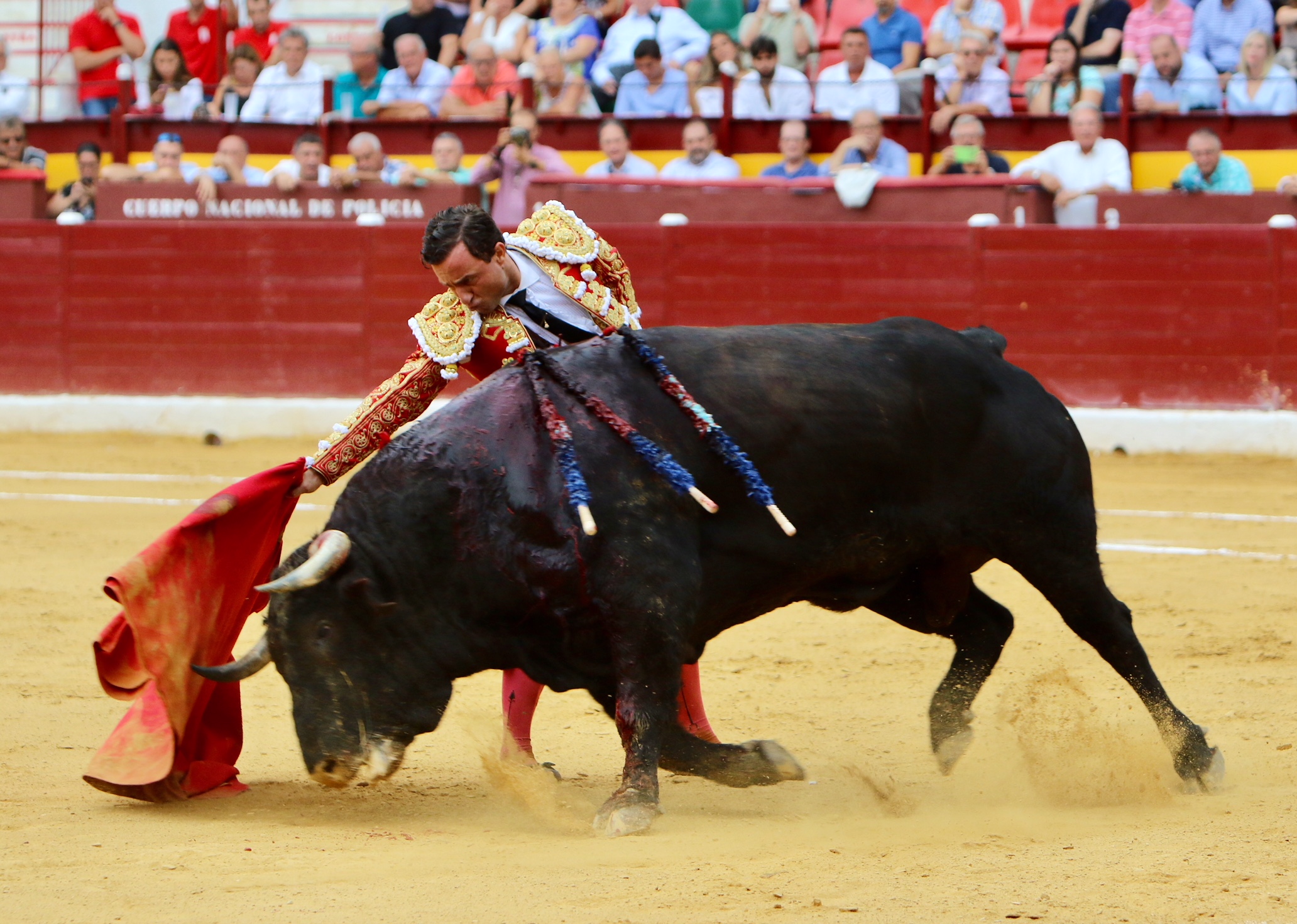 Murcia - Corrida de toros - Domingo 9 de septiembre de 2018