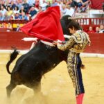 Murcia - Corrida de toros - Domingo 9 de septiembre de 2018
