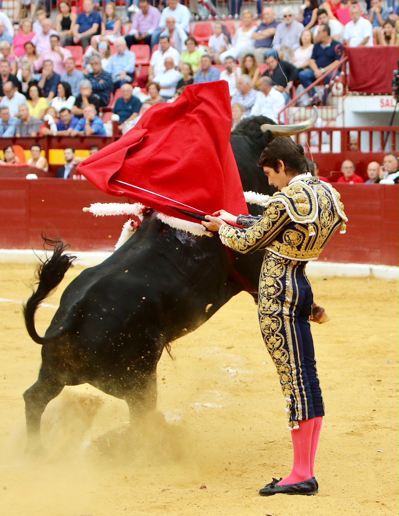 Murcia - Corrida de toros - Domingo 9 de septiembre de 2018