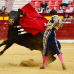 Murcia - Corrida de toros - Domingo 9 de septiembre de 2018