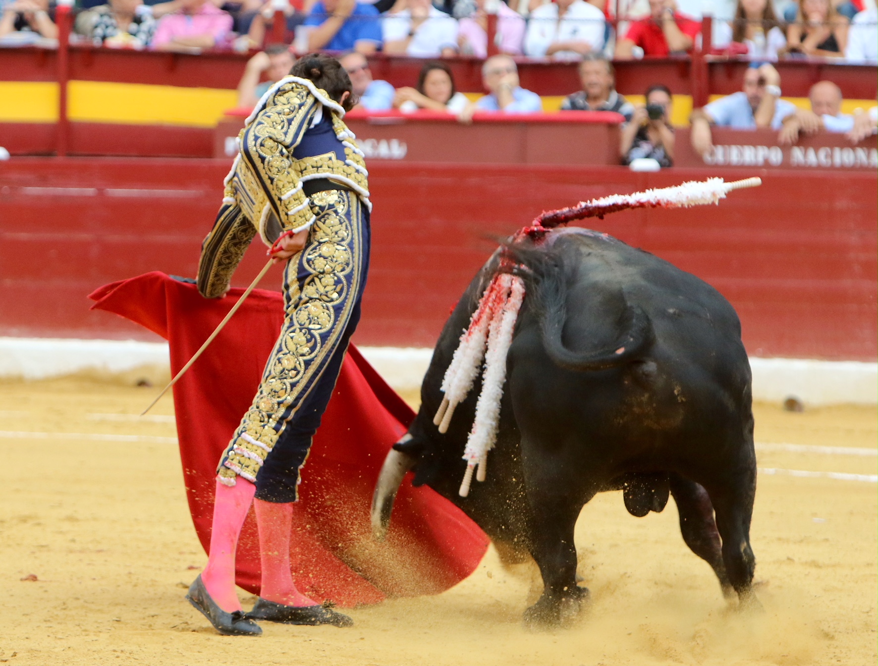 Murcia - Corrida de toros - Domingo 9 de septiembre de 2018