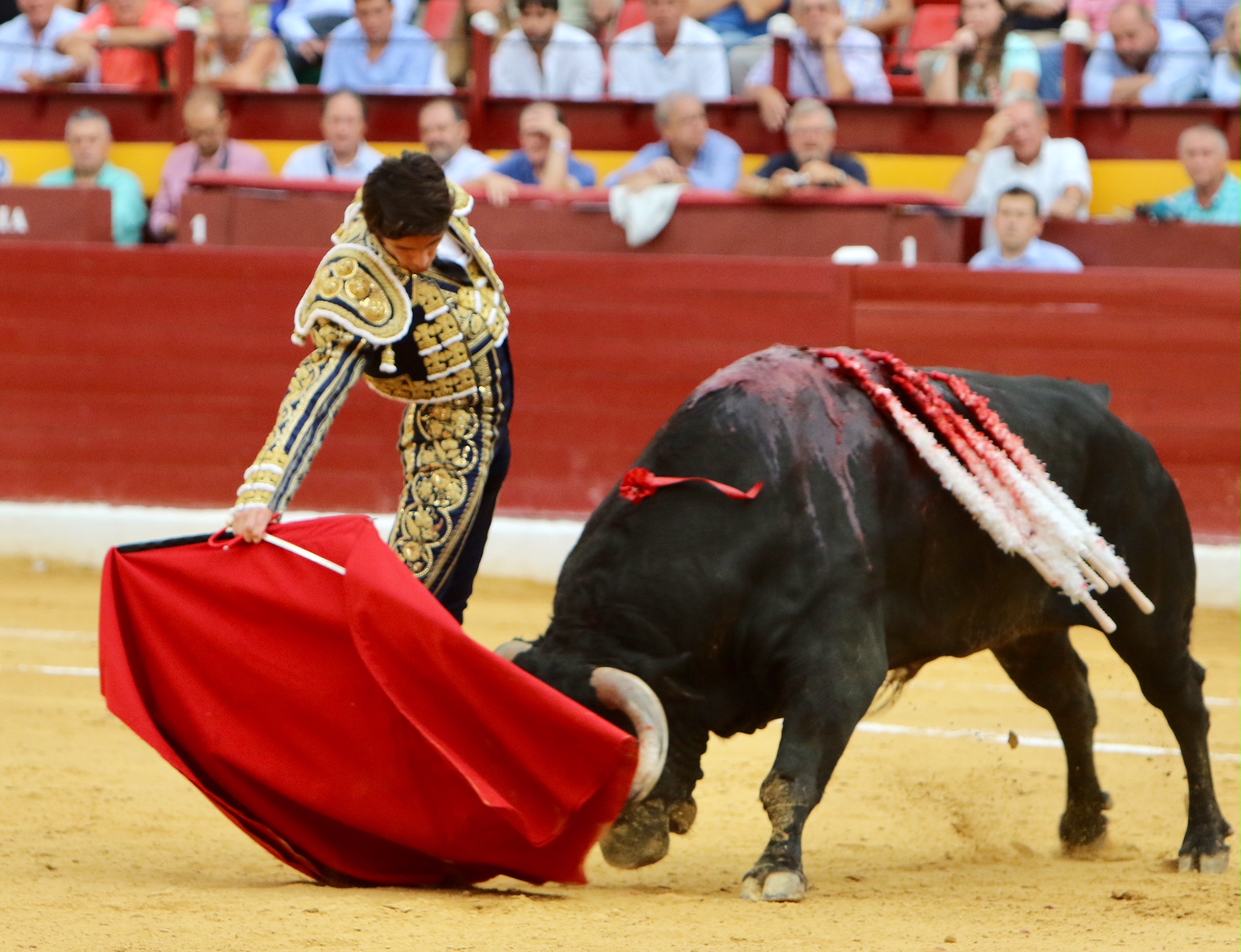 Murcia - Corrida de toros - Domingo 9 de septiembre de 2018