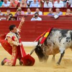Murcia - Corrida de toros - Domingo 9 de septiembre de 2018