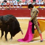 Murcia - Corrida de toros - Domingo 9 de septiembre de 2018