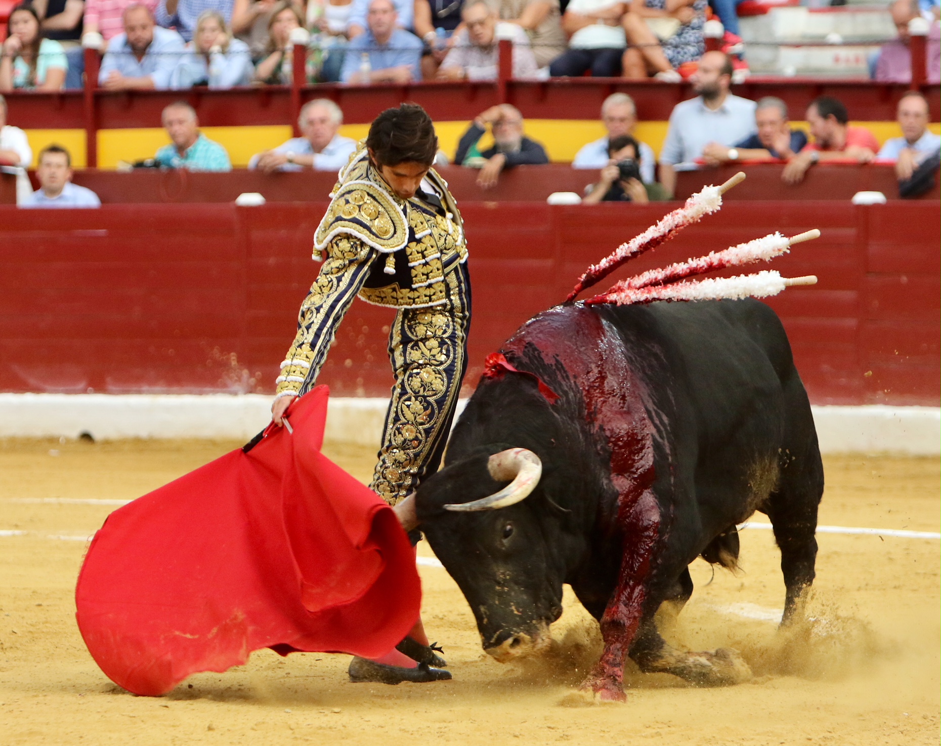 Murcia - Corrida de toros - Domingo 9 de septiembre de 2018