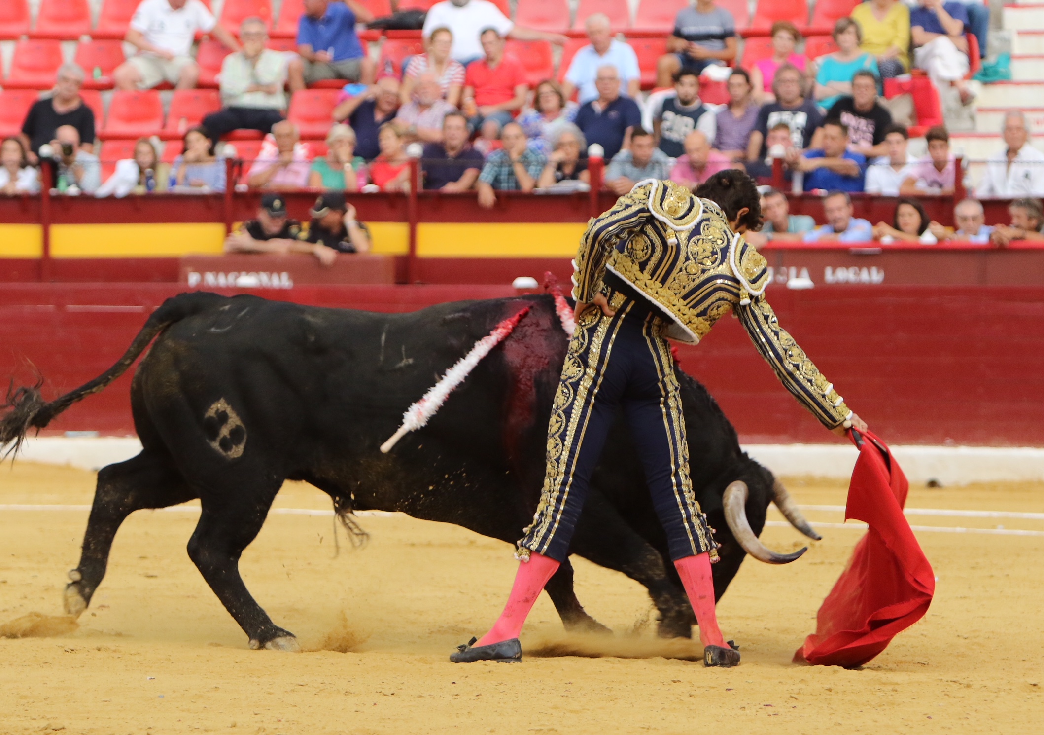 Murcia - Corrida de toros - Domingo 9 de septiembre de 2018