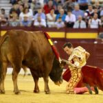 Murcia - Corrida de toros - Domingo 9 de septiembre de 2018