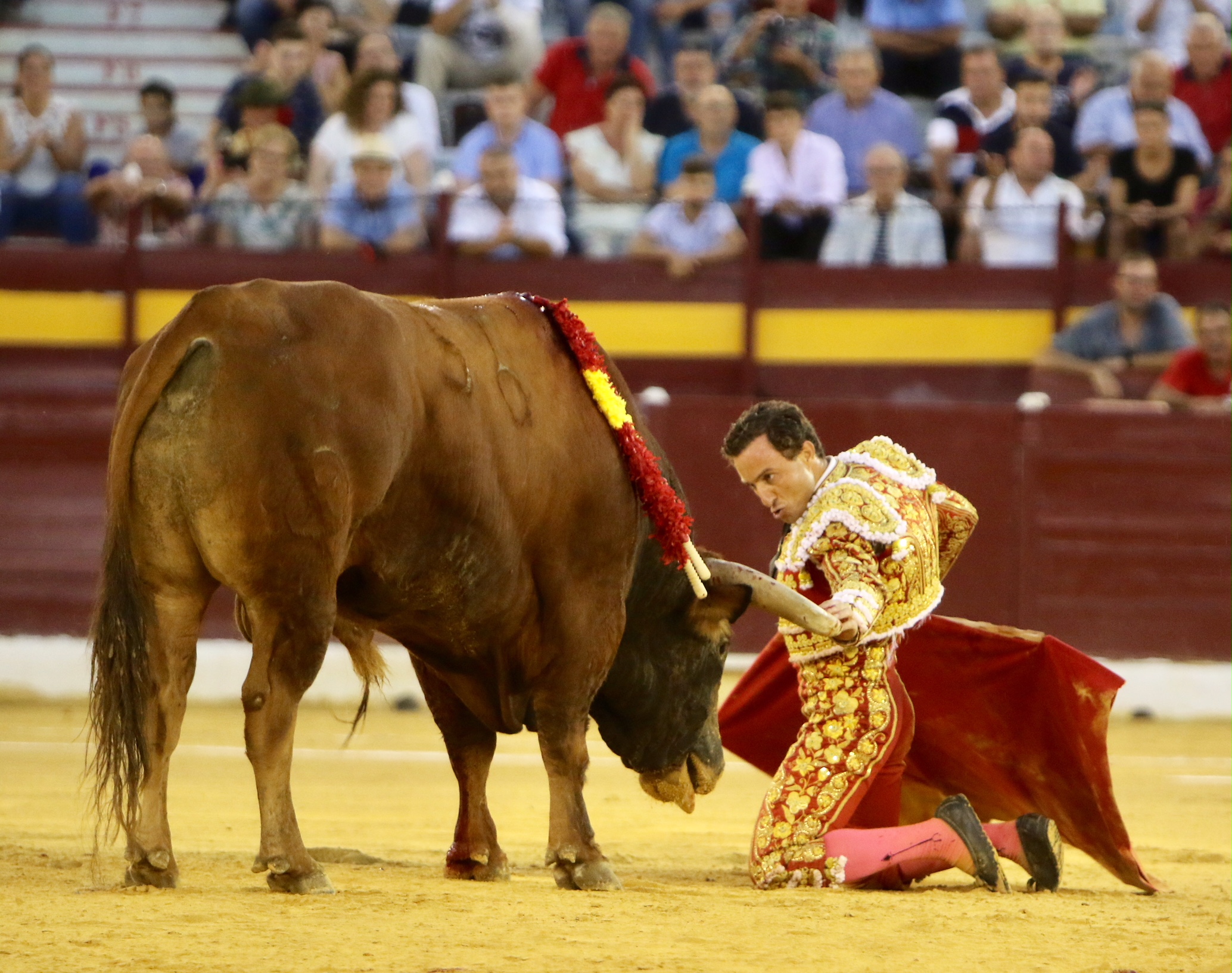 Murcia - Corrida de toros - Domingo 9 de septiembre de 2018