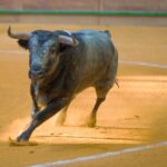 Arnedo - Feria del Zapato de Oro - Domigno 30 de septiembre de 2018