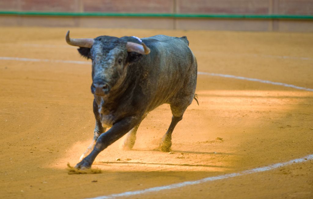 Arnedo - Feria del Zapato de Oro - Domigno 30 de septiembre de 2018