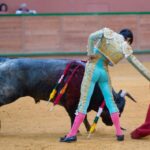 Arnedo - Novillada - Viernes 28 de septiembre de 2018