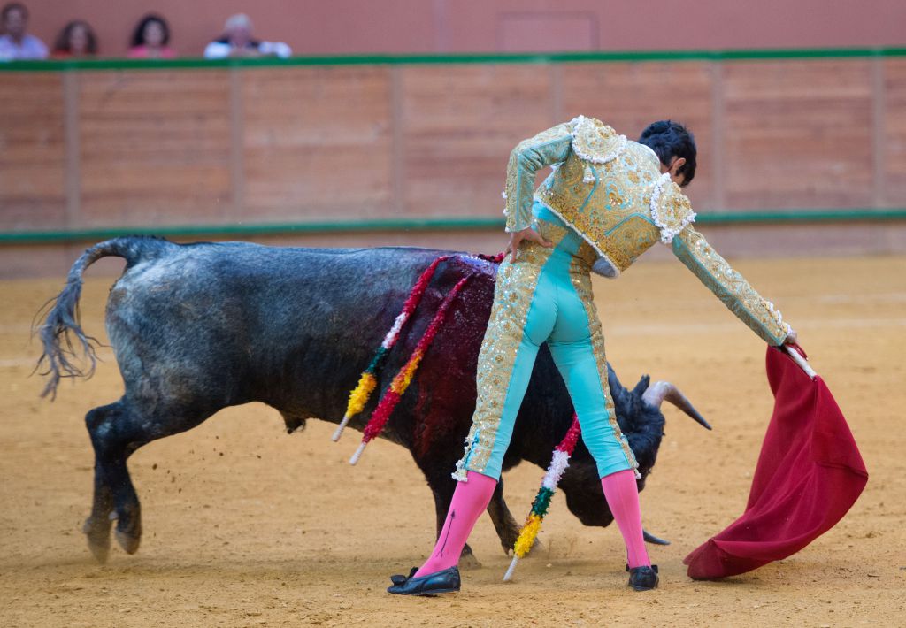 Arnedo - Novillada - Viernes 28 de septiembre de 2018