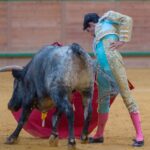 Arnedo - Novillada - Viernes 28 de septiembre de 2018