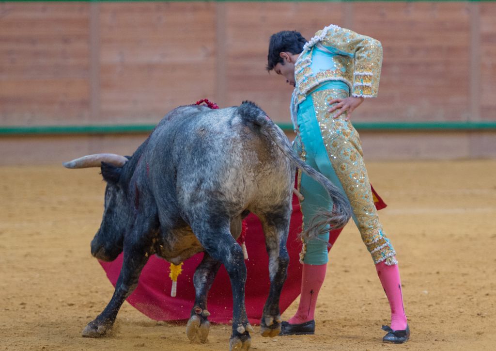 Arnedo - Novillada - Viernes 28 de septiembre de 2018