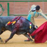 Arnedo - Feria del Zapato de Oro - Domigno 30 de septiembre de 2018